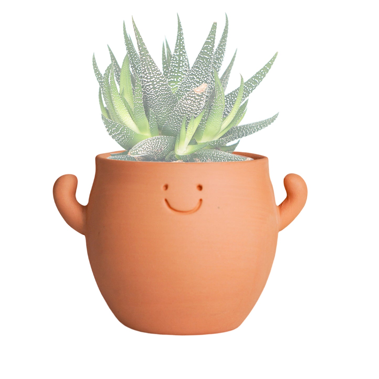 Mr.Smile Plant Pots with drainage-Large and  Small Sizes