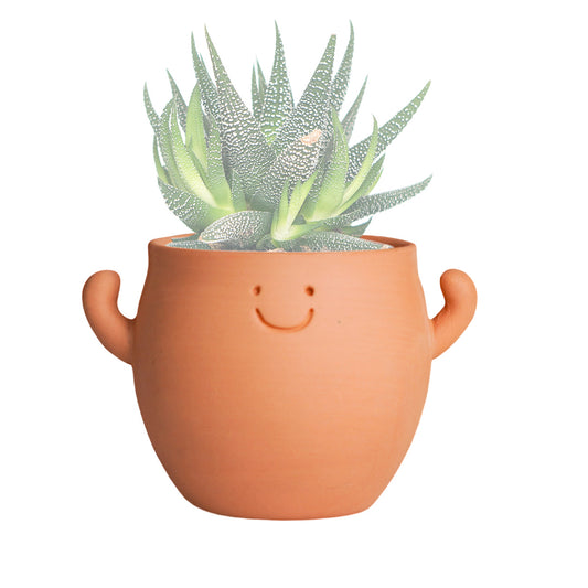 YOBRO&nbsp;Mr.&nbsp;Smile&nbsp;Plant&nbsp;Pots&nbsp;with&nbsp;Drainage&nbsp;–&nbsp;Large&nbsp;and&nbsp;Small&nbsp;Sizes