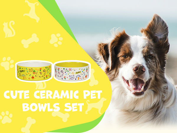 Cute Small Dog Bowl Set Green&White