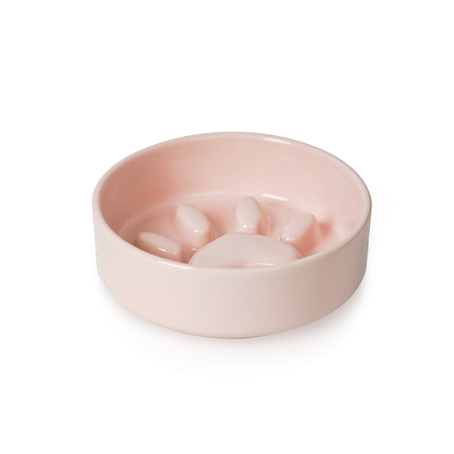 Cute Paw Dog Slow Feeder Bowl