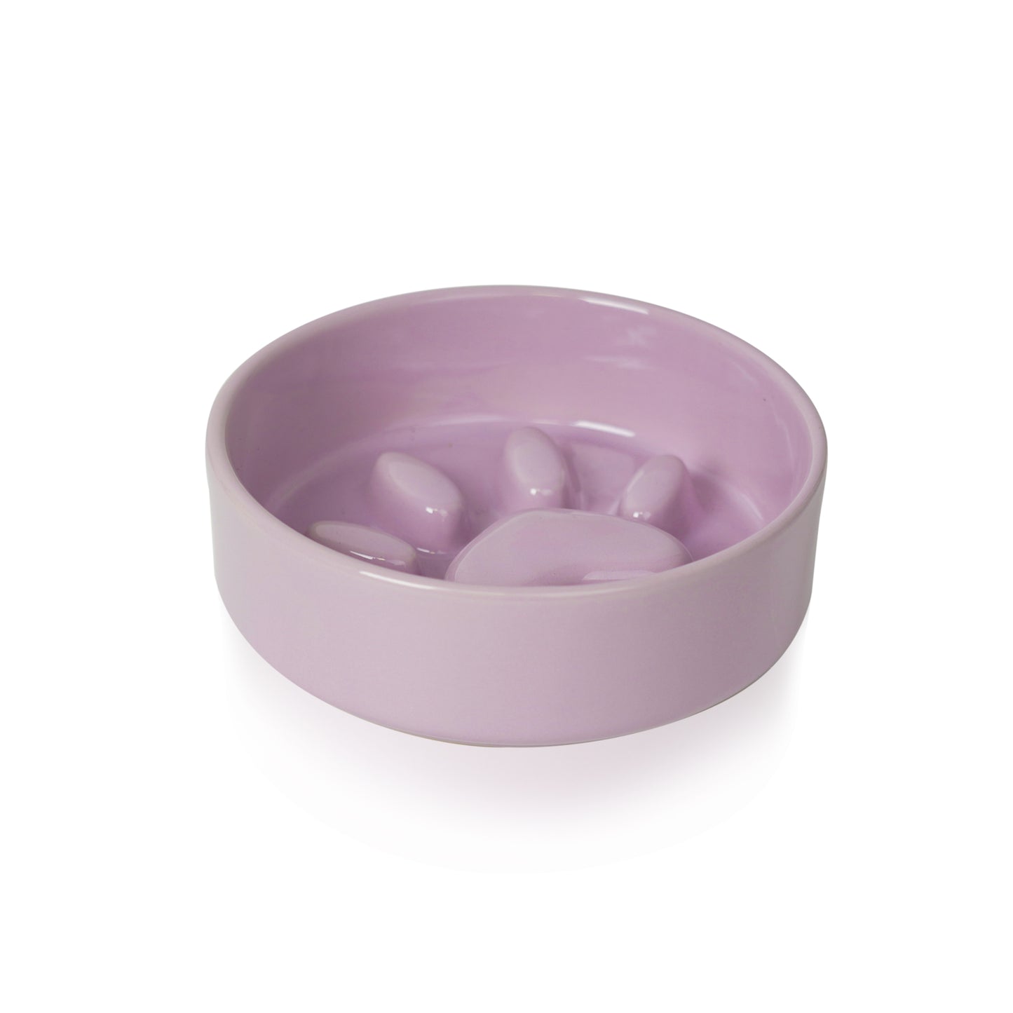 Cute Paw Dog Slow Feeder Bowl