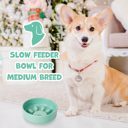 Cute Paw Dog Slow Feeder Bowl