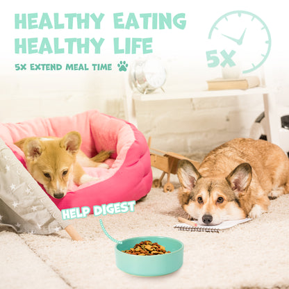 Cute Paw Dog Slow Feeder Bowl