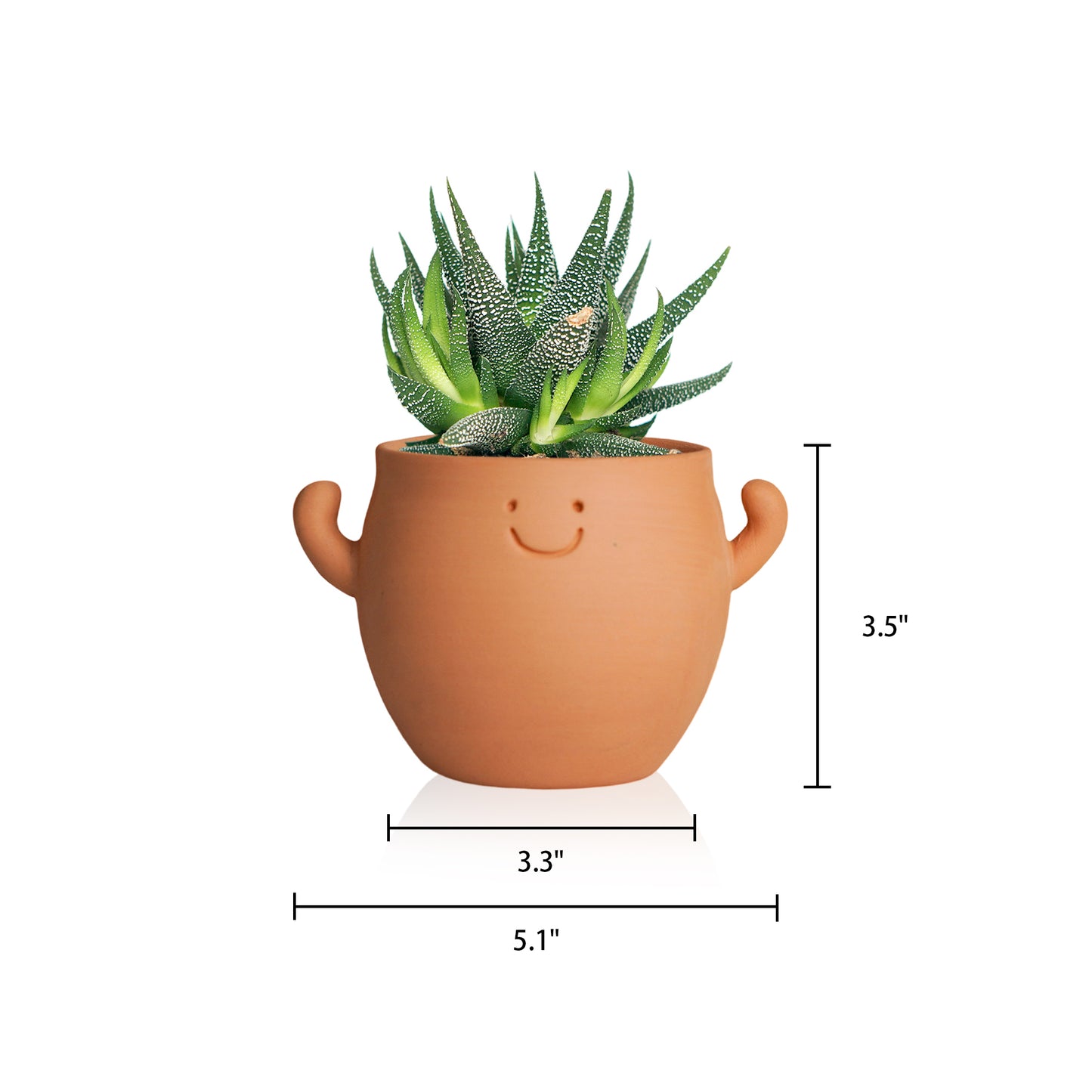 Mr.Smile Plant Pots with drainage-Large and  Small Sizes