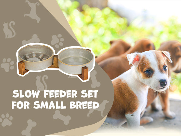 YOBRO Slow Feeder Set for Pets – Practical and Adorable Medium&Small