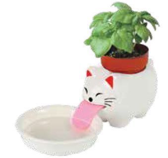 YOBRO Lucky Cat Plant Pot WSG11596